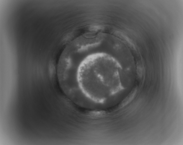 X0000102300375200808081549