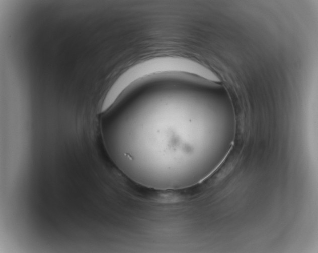 X0000102300376200808081549