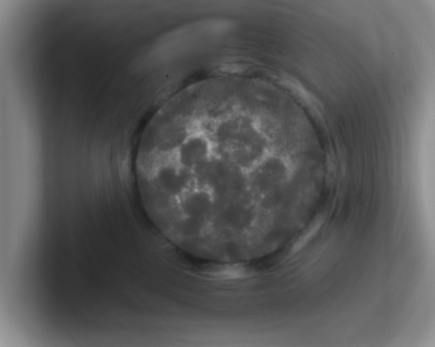 X0000102300377200808081549