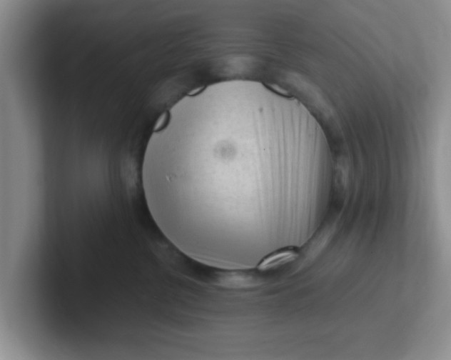 X0000102300380200808081550