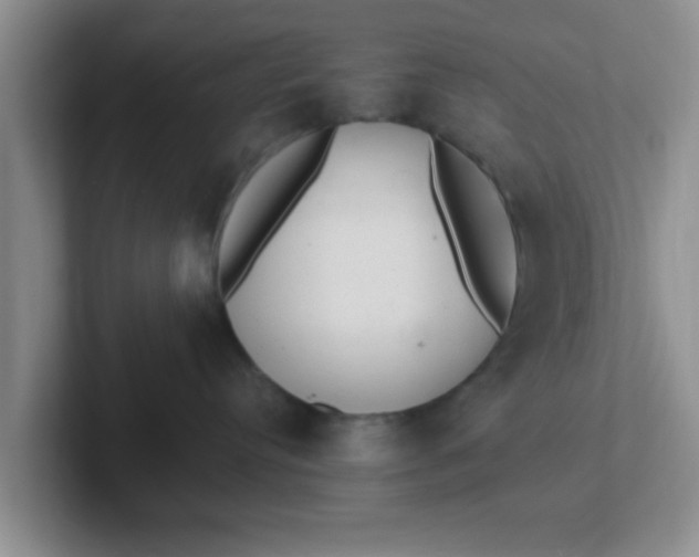 X0000102300384200808081550