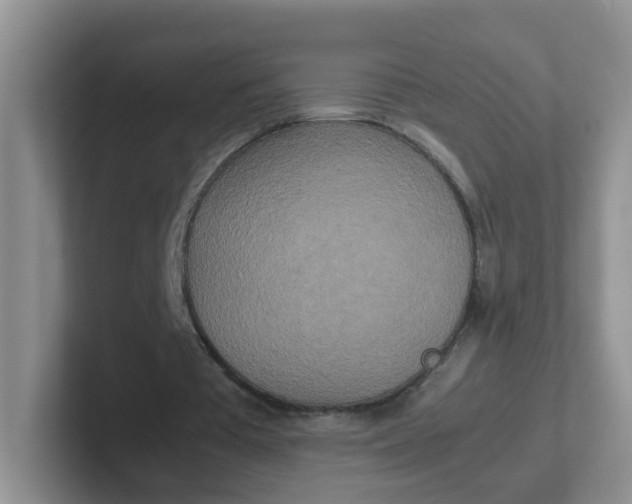 X0000102300385200808081549