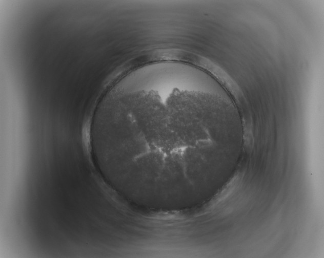 X0000102300386200808081549