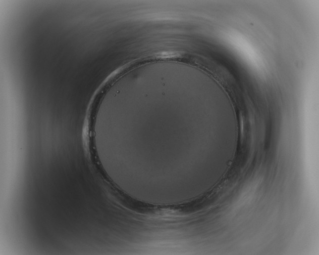 X0000102300387200808081549