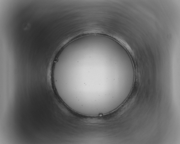 X0000102300389200808081549