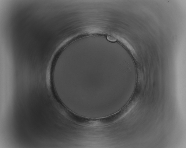 X0000102300391200808081549