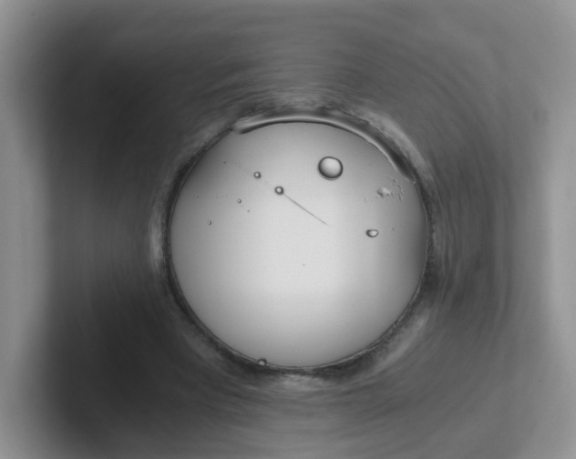 X0000102300393200808081549