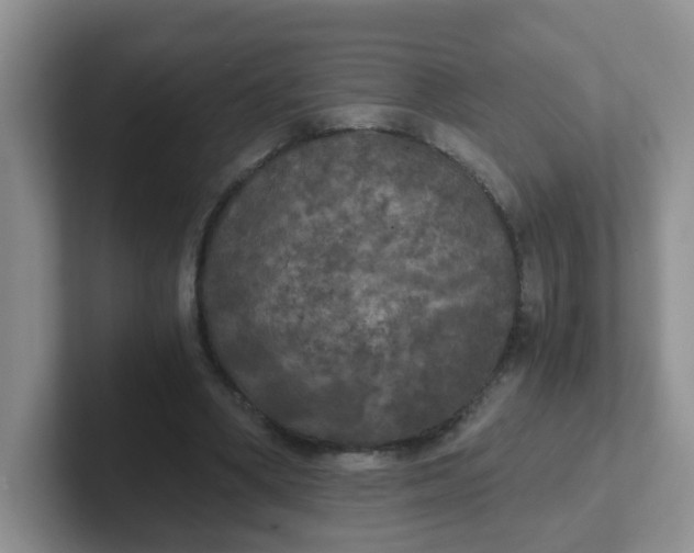 X0000102300394200808081549