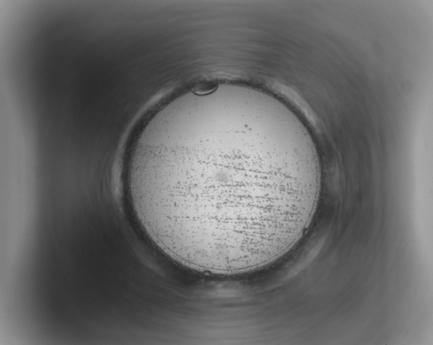 X0000102300395200808081549