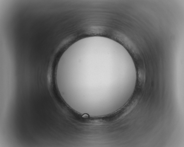 X0000102300396200808081549