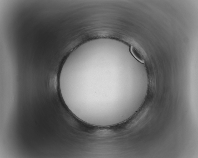 X0000102300397200808081549