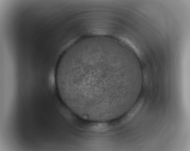 X0000102300398200808081549