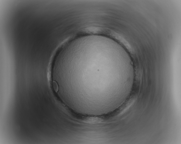 X0000102300399200808081549