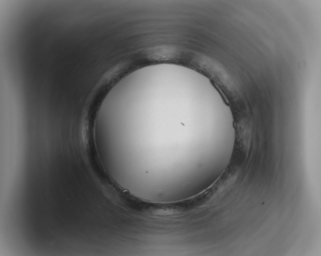 X0000102300400200808081549