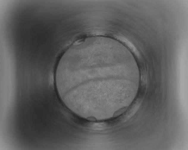 X0000102300401200808081549