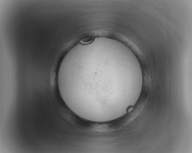 X0000102300403200808081549