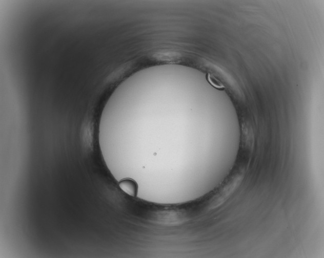 X0000102300404200808081549