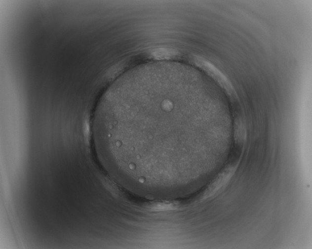 X0000102300405200808081549