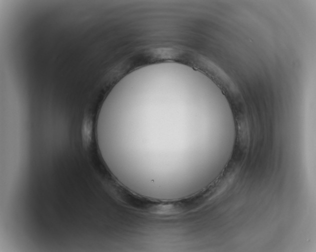 X0000102300406200808081548