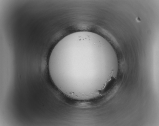 X0000102300407200808081548