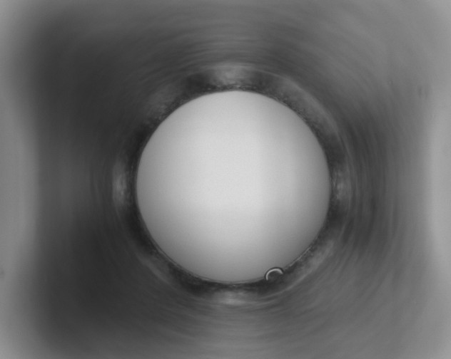 X0000102300408200808081548