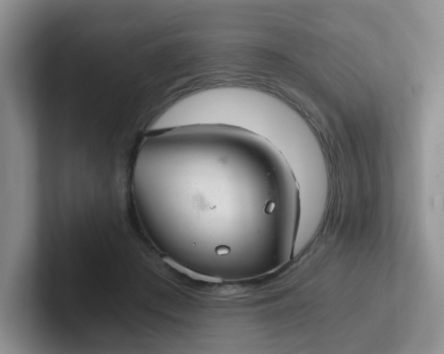 X0000102300409200808081548