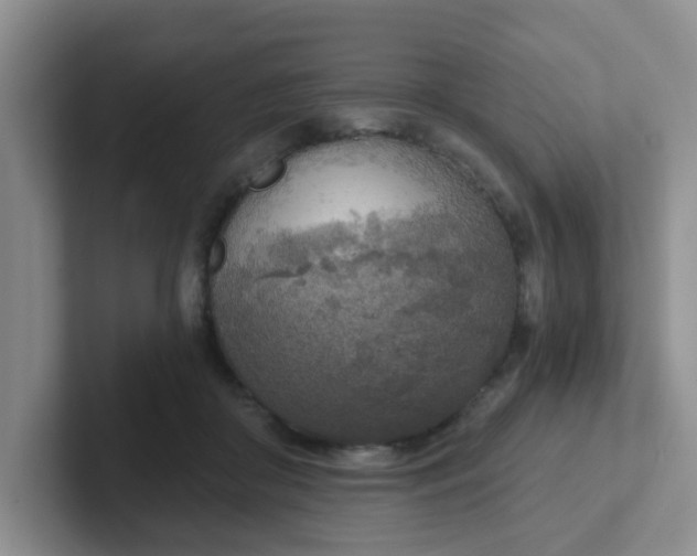 X0000102300410200808081548