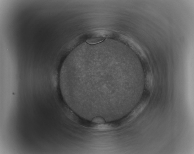 X0000102300413200808081548