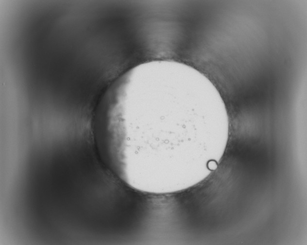 X0000102300415200808081548