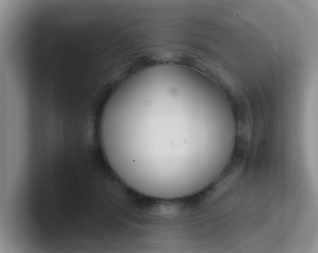 X0000102300416200808081548