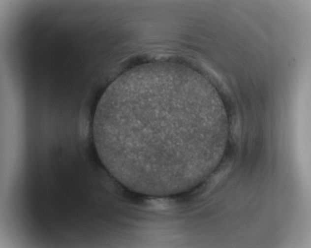 X0000102300417200808081548