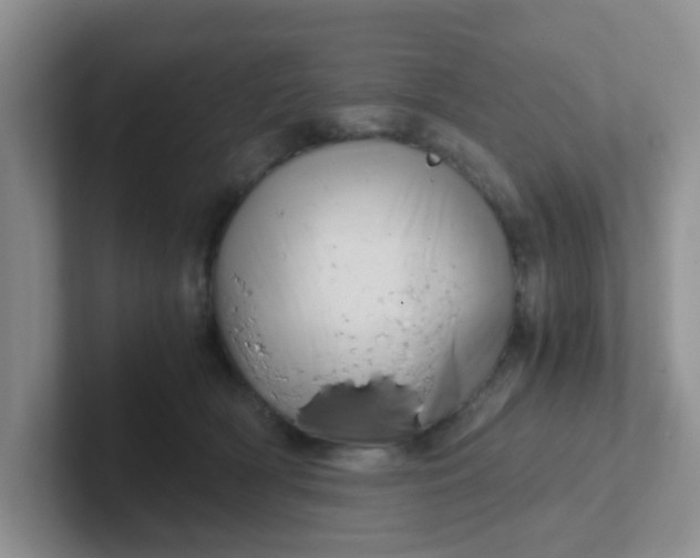 X0000102300418200808081548