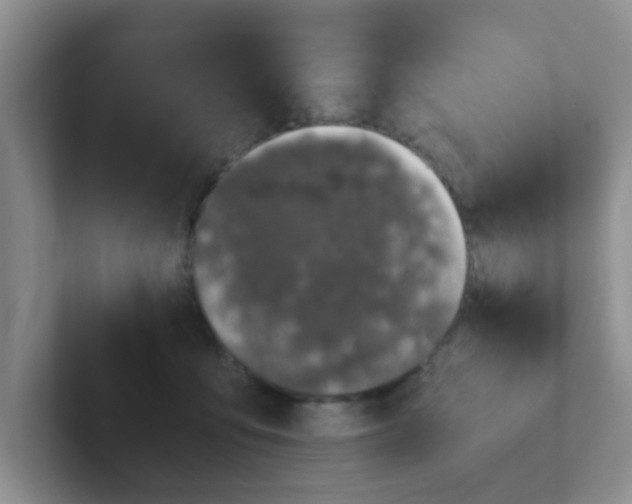 X0000102300419200808081548