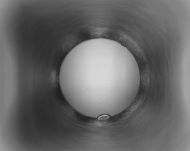 X0000102300420200808081548