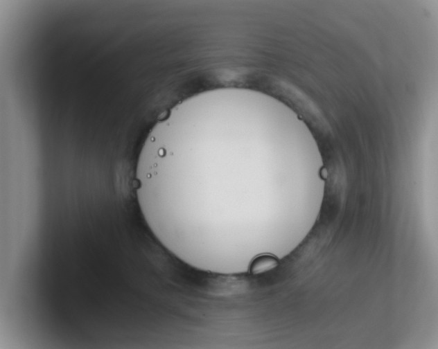 X0000102300421200808081548