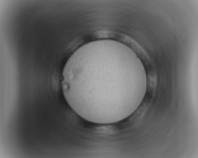 X0000102300422200808081548