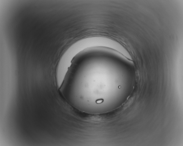 X0000102300423200808081548