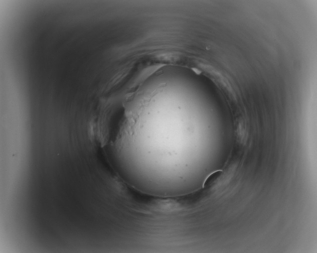 X0000102300424200808081548