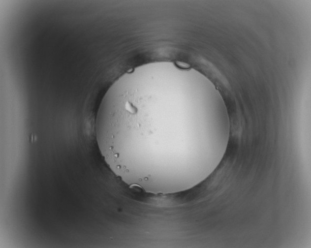 X0000102300425200808081548