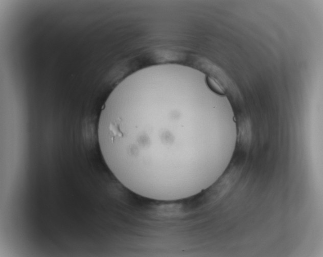 X0000102300426200808081548