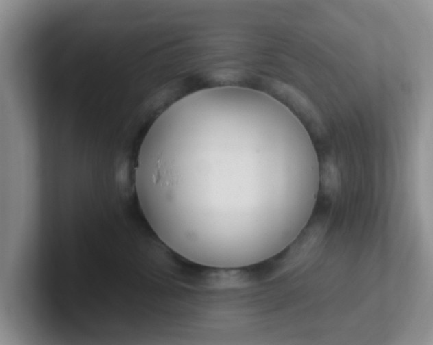 X0000102300428200808081548