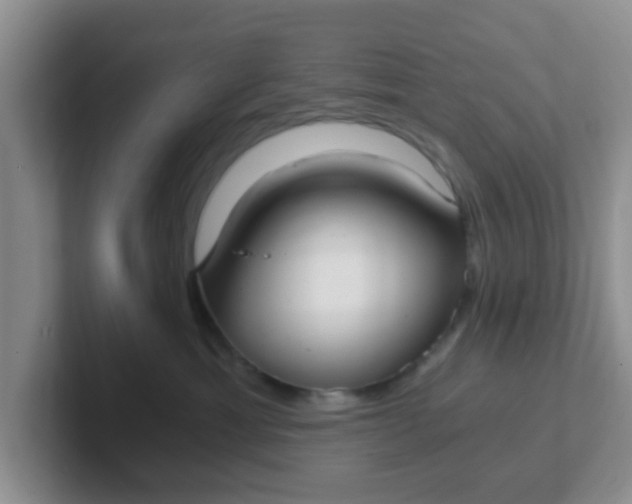 X0000102300429200808081548