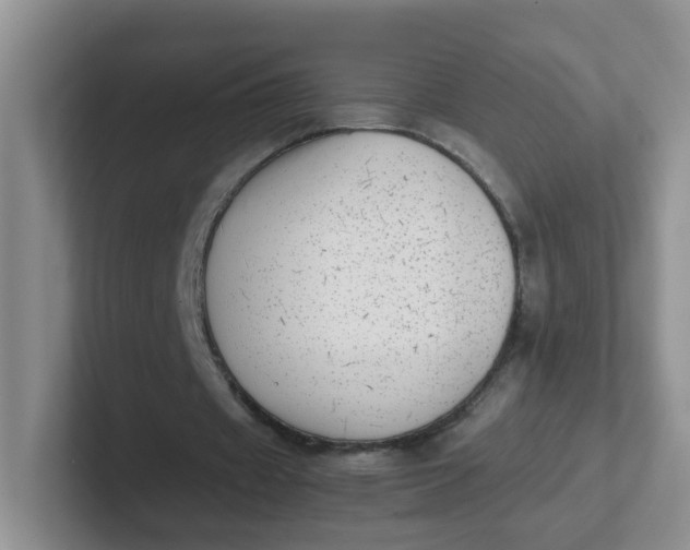 X0000102300433200808081547