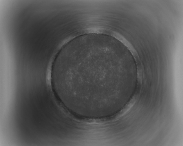 X0000102300434200808081547