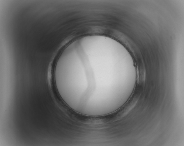 X0000102300435200808081548