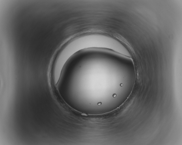 X0000102300436200808081548