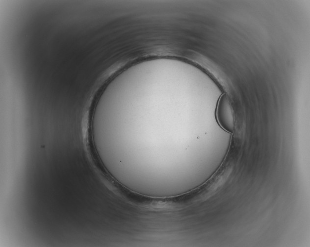 X0000102300437200808081548