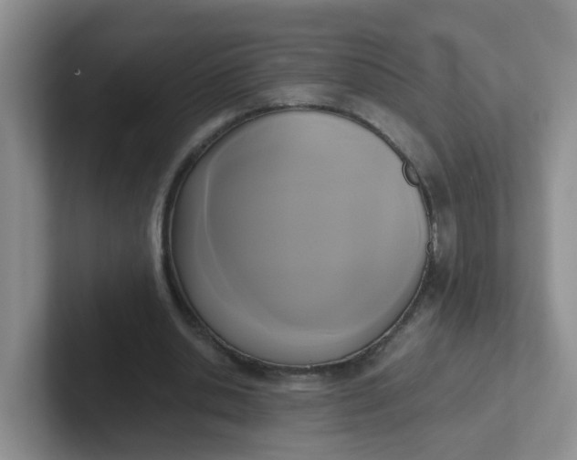 X0000102300438200808081548