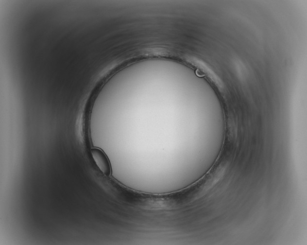 X0000102300439200808081548