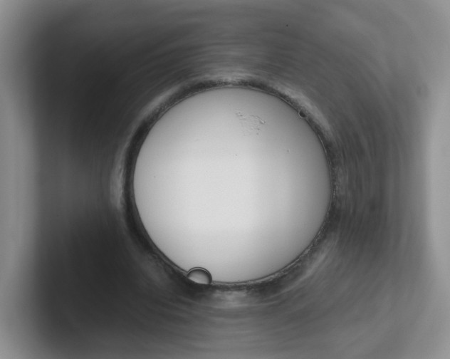 X0000102300440200808081548